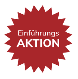 einführungs aktion.png